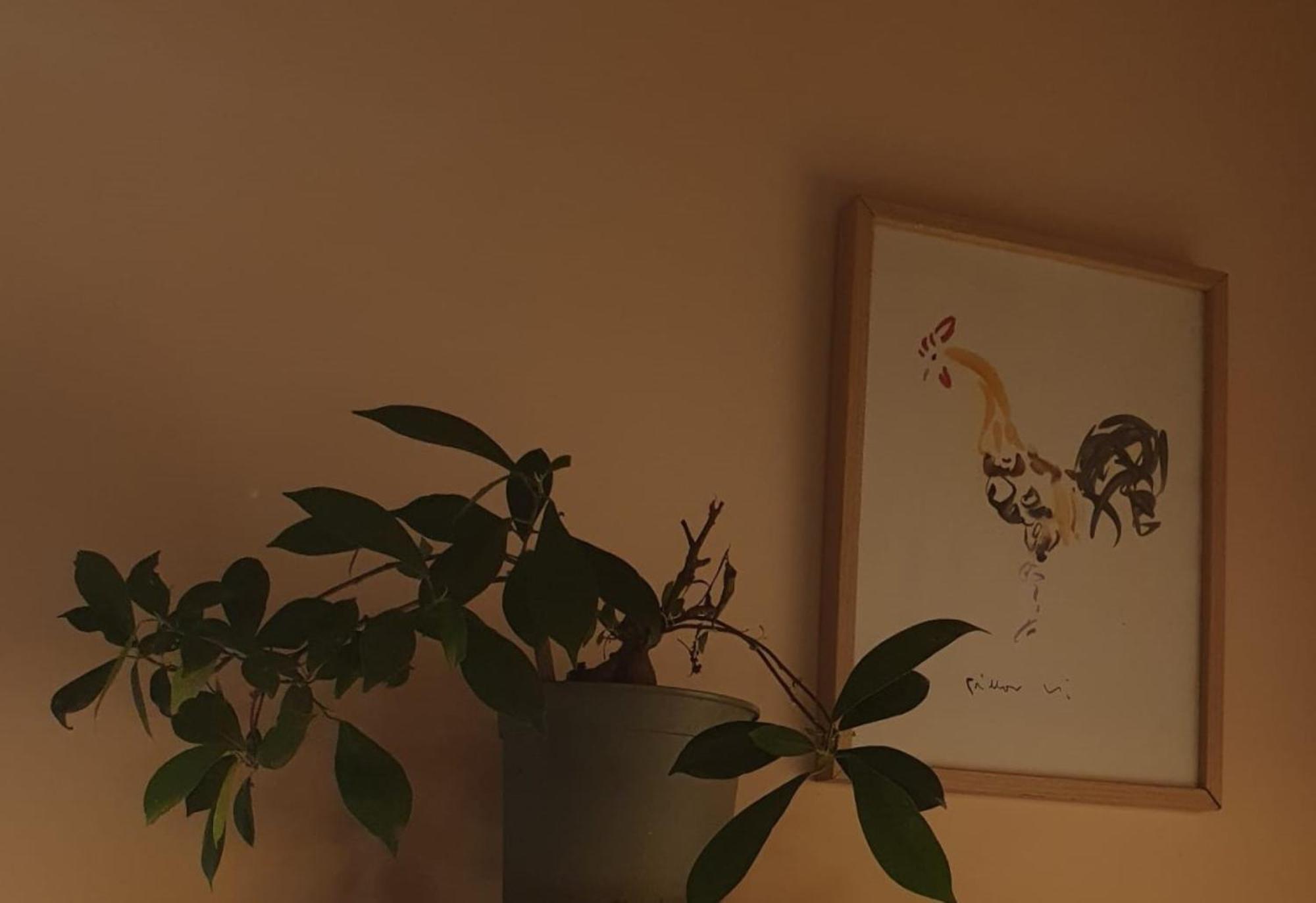 Repos 2 Etoiles Au Calme Pour Deux Lucy-sur-Cure Exteriér fotografie